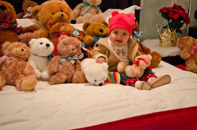 Teddy Bear Suite: Mixing It Up With The Teddy Bears