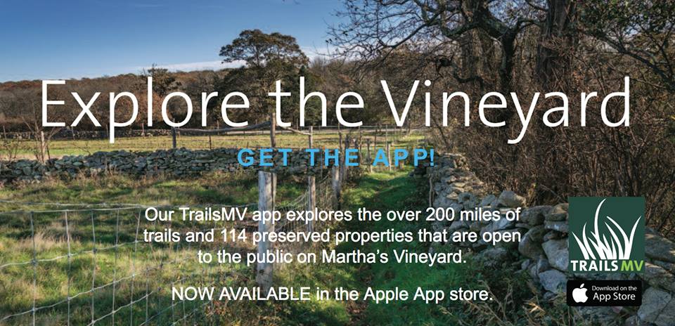 Explore Martha's Vineyard Trails MV App Hiking Guide to MArtha's Vineyard