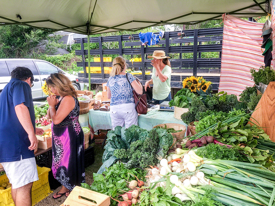 Martha's Vineyard Farmers' Markets: West Tisbury Farmers Market Local Food Local Farms Farm To Table