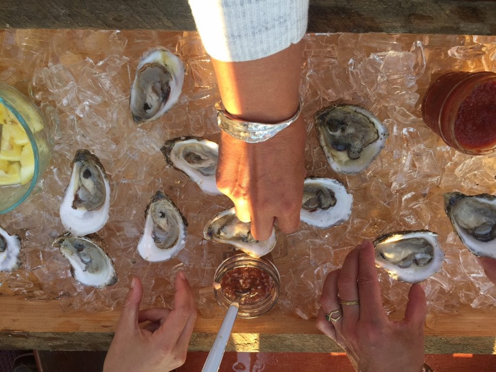 Cottage City Oyster Served Fresh From the Farm On Martha's Vineayrd