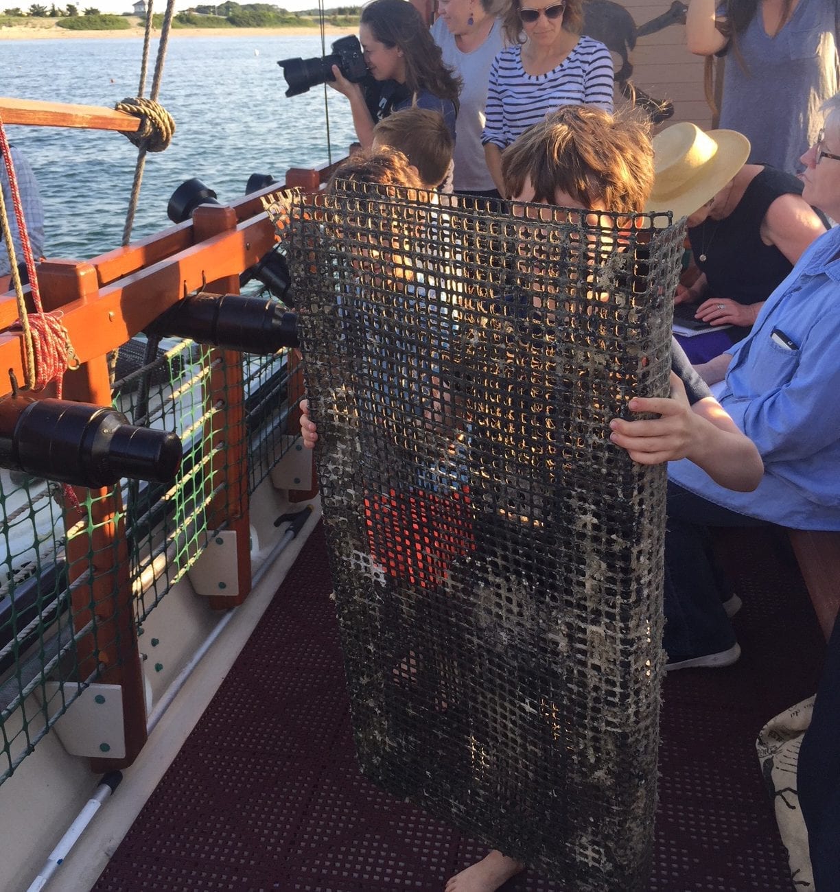 Martha's Vineyard Oyster Farm Tour Farm Field Sea Adventure Travel