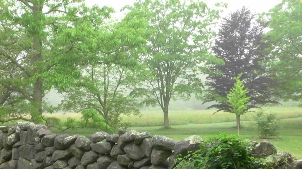 Martha's Vineyard Bucket List Video: Exploring Polly Hill Arboretum West Tisbury