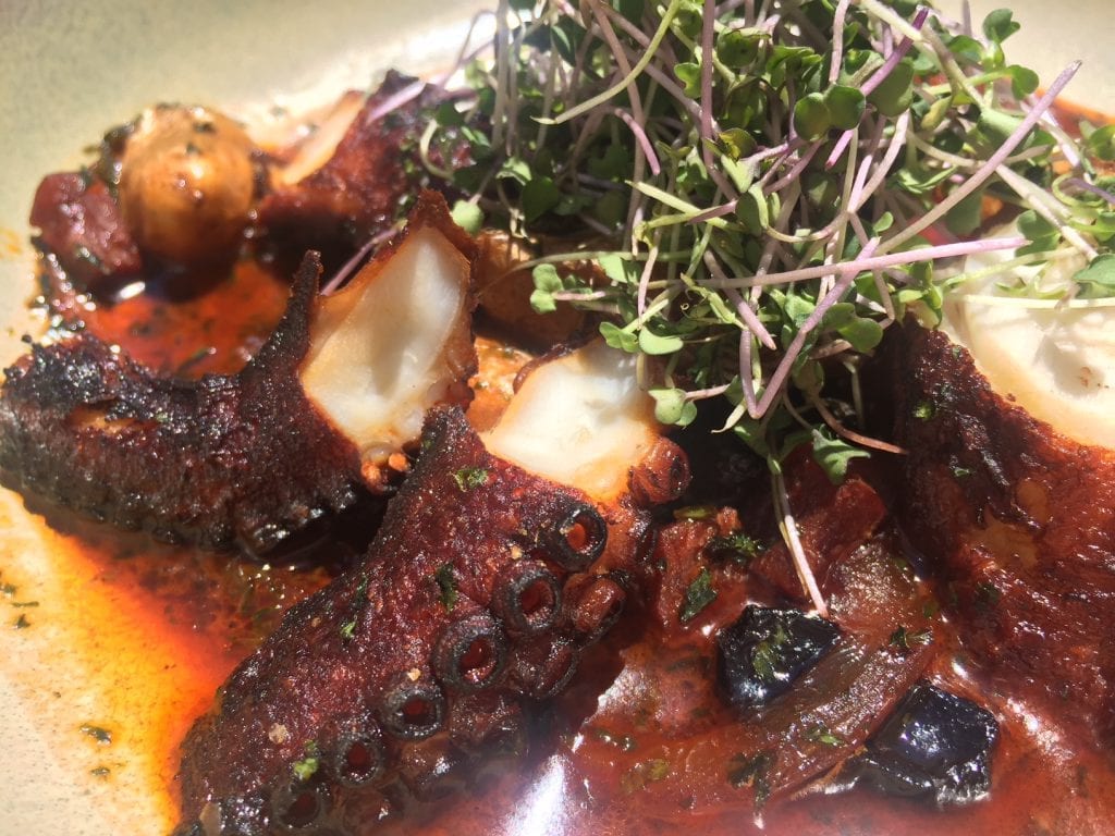 Seafood Restaurants Martha's Vineyard: 19 Raw Oyster Bar Restaurant Charred Octopus