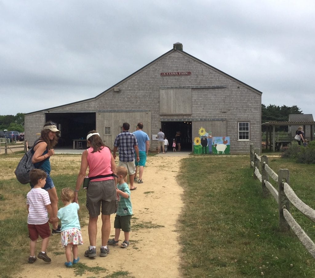 The Farm Institute Martha's Vineyard Meals In The Meadows Fundraiser Is All New