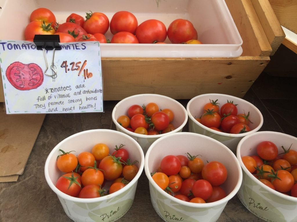 Fresh Tomatoes Martha's Vineyard Mobile Market Farmers Market