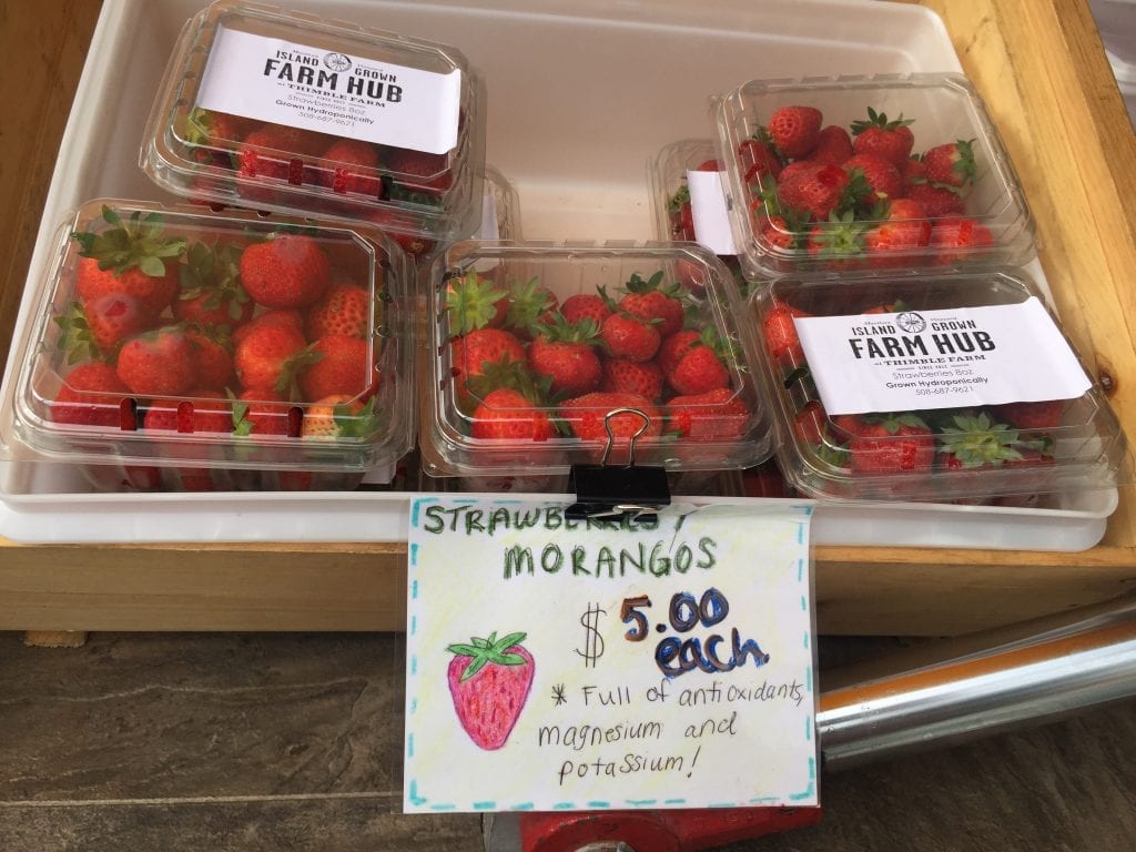 Martha's Vineyard Mobile Market Farmers Market Farm Hub Local Strawberries Oak Bluffs