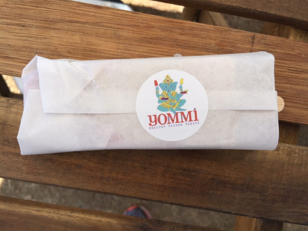 Martha's Vineyard Yommi Healthy Frozen Treats: Mint Chocochip, coconut milk, local honey, MV Sea Salt, local spinach and mint, raw cacao nibs, and peppermint oil