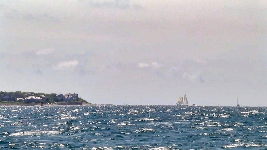 Martha's Vineyard Bucket List Sailing Around Martha's Vineyard On Black Dog Tall Ships