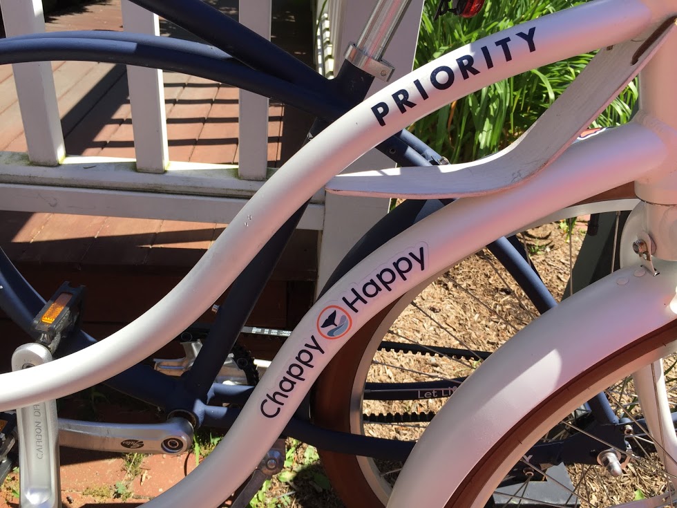 Chappy Happy Beach Cruiser Bikes Martha's Vineyard