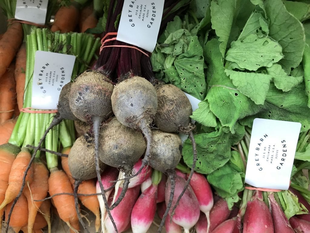 Grey Barn Farm Tour Martha's Vineyard