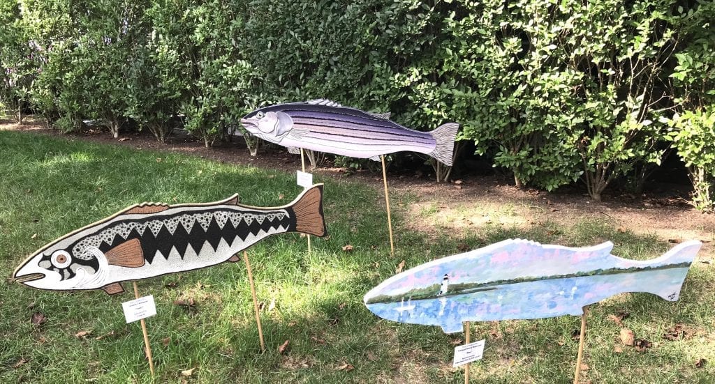 Bass In The Grass Fundraiser Martha's Vineyard Striped Bass & Bluefish Derby