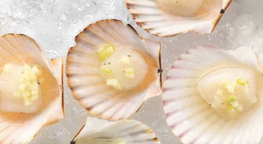 Martha's Vineyard Bucket List Fresh Bay Scallops Ocean To Table