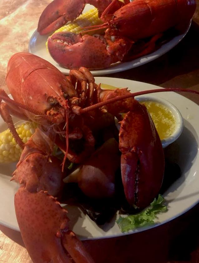 Black Dog Tavern Lobster Night Martha's Vineyard Frugal Foodie 