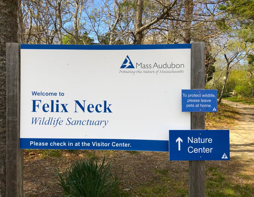 Felix Neck Wildlife Sanctuary Martha's Vineyard Hike And Hops Summer Experience Event Series With Bad Martha Farmer's Brewery 