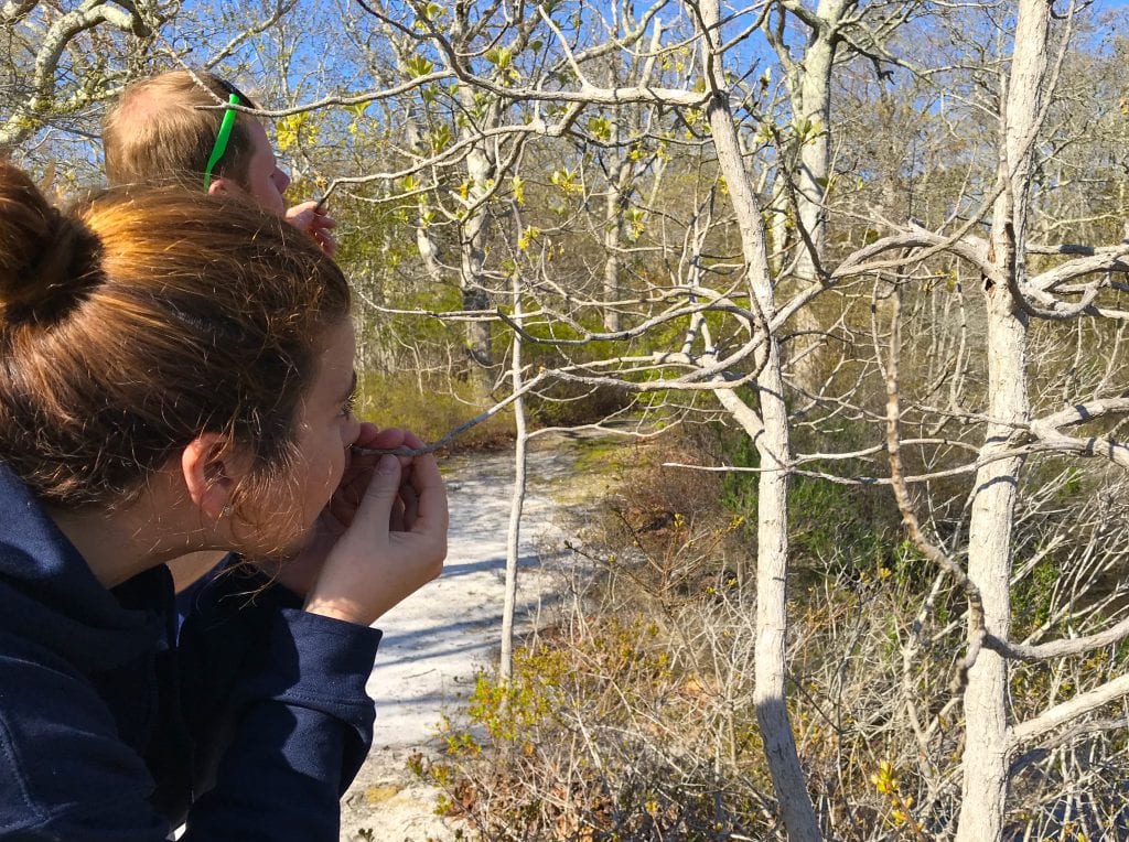 Felix Neck Wildlife Sanctuary Martha's Vineyard Hike & Hops Summer event series Bad Martha Farmer's Brewery 