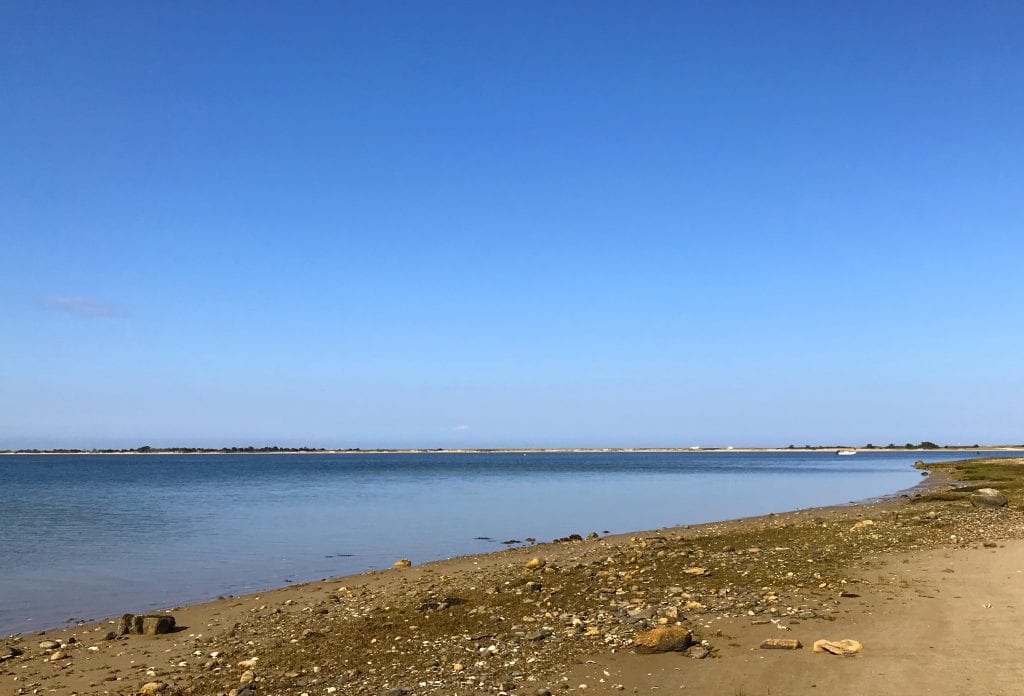 Felix Neck Wildlife Sanctuary Martha's Vineyard Hike & Hops Summer event series Bad Martha Farmer's Brewery 