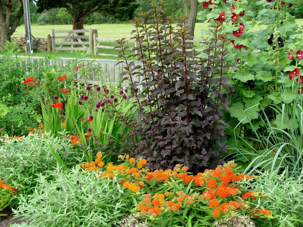 Polly Hill Arboretum Summer Martha's Vineyard Watercolor series 