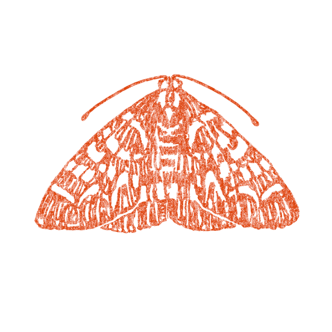 The Moth Martha's Vineyard Storytelling Tabernacle Oak Bluffs