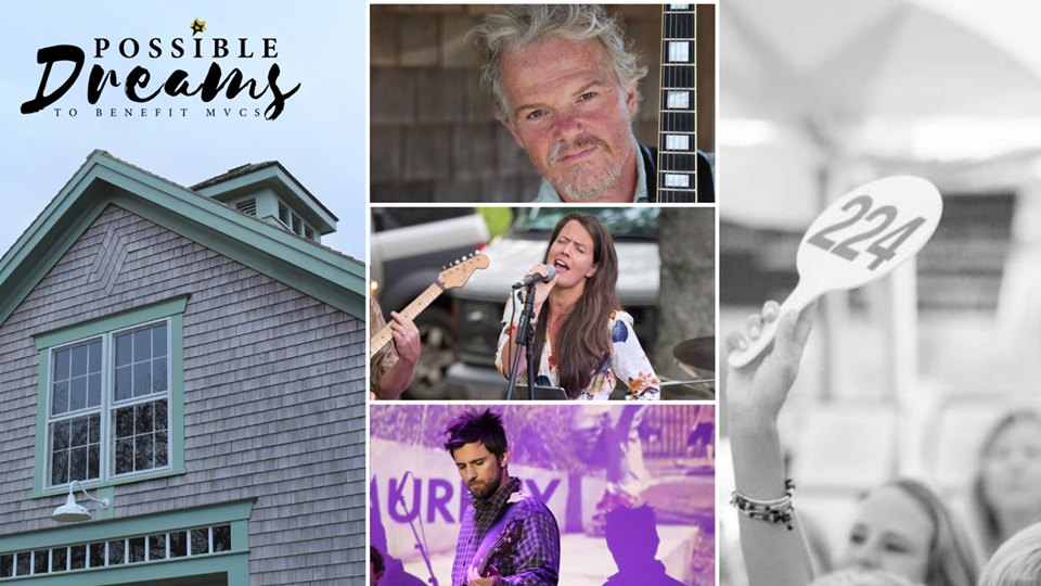 Possible Dreams Auction Martha's Vineyard Community Services Summer 2019 