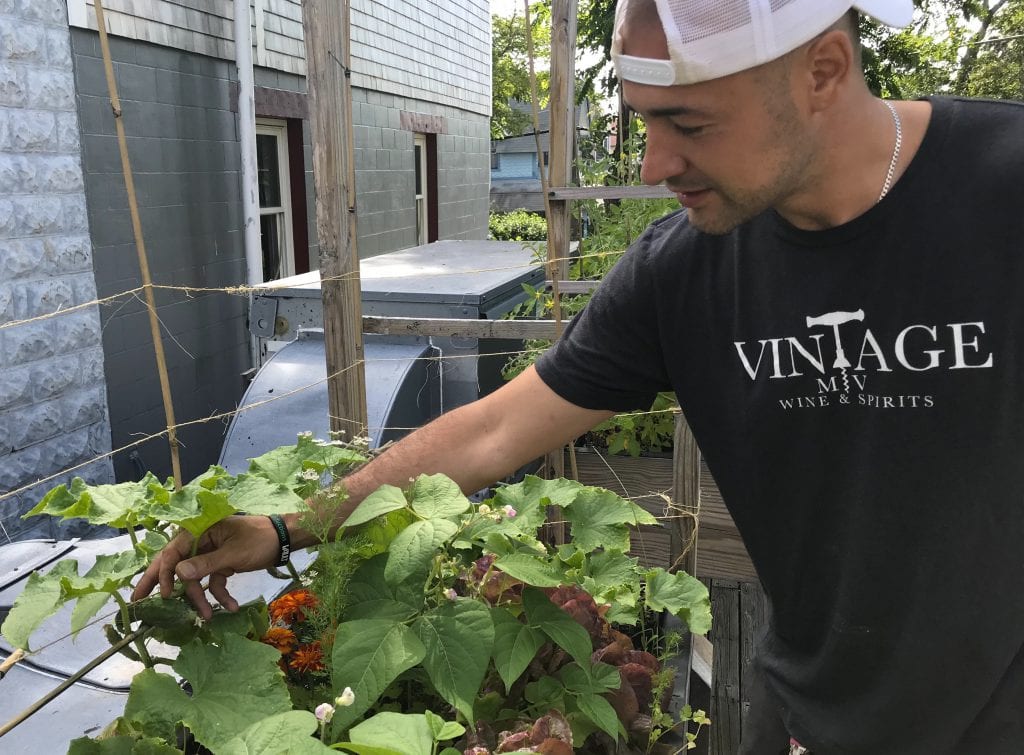 Dos Mas Breakfast Lunch Dinner Oak Bluffs New for Summer 2019 Martha's Vineyard 