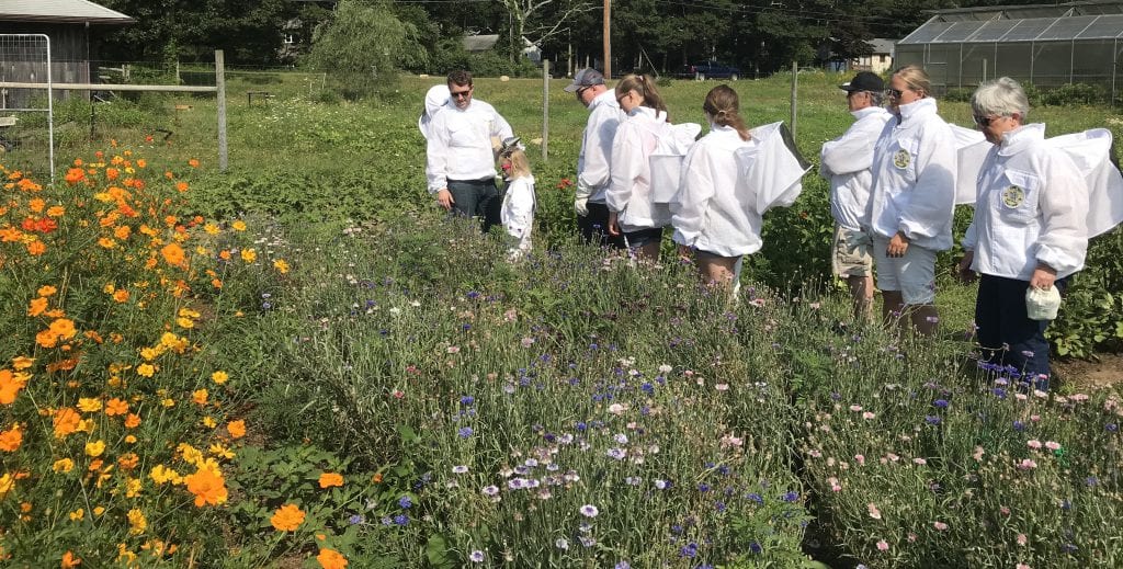 Marthas Vineyard Ginny Bee Honey Farms Oak Bluffs