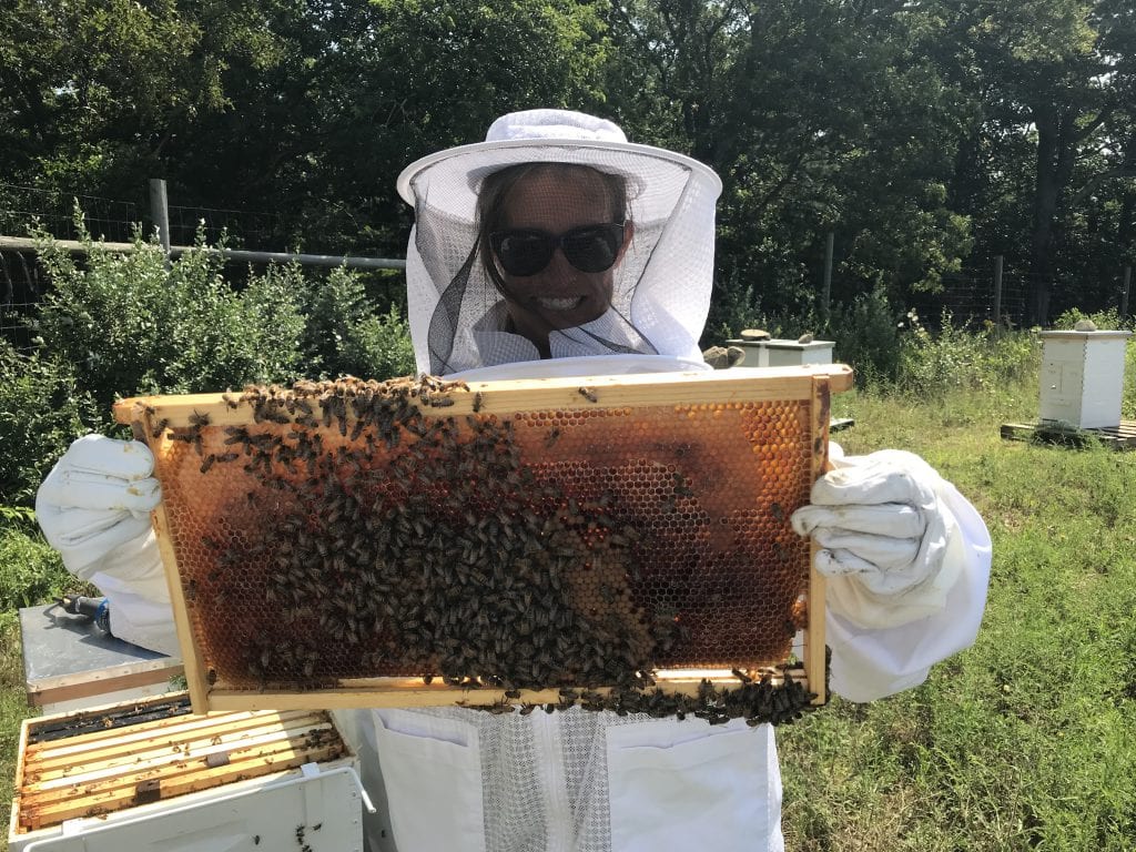 Ginny Bee Honey Farms Martha's Vineyard Oak Bluffs Beekeeping