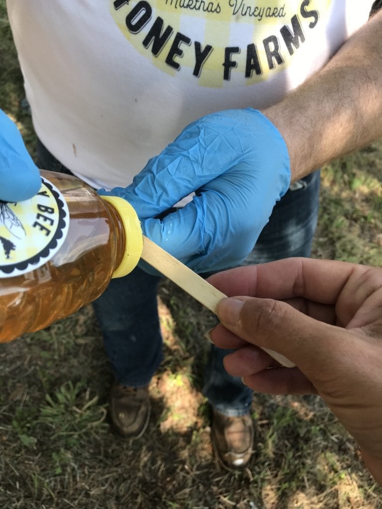 Martha's Vineyard Ginny Bee Honey Farms Oak Bluffs Beekeeping