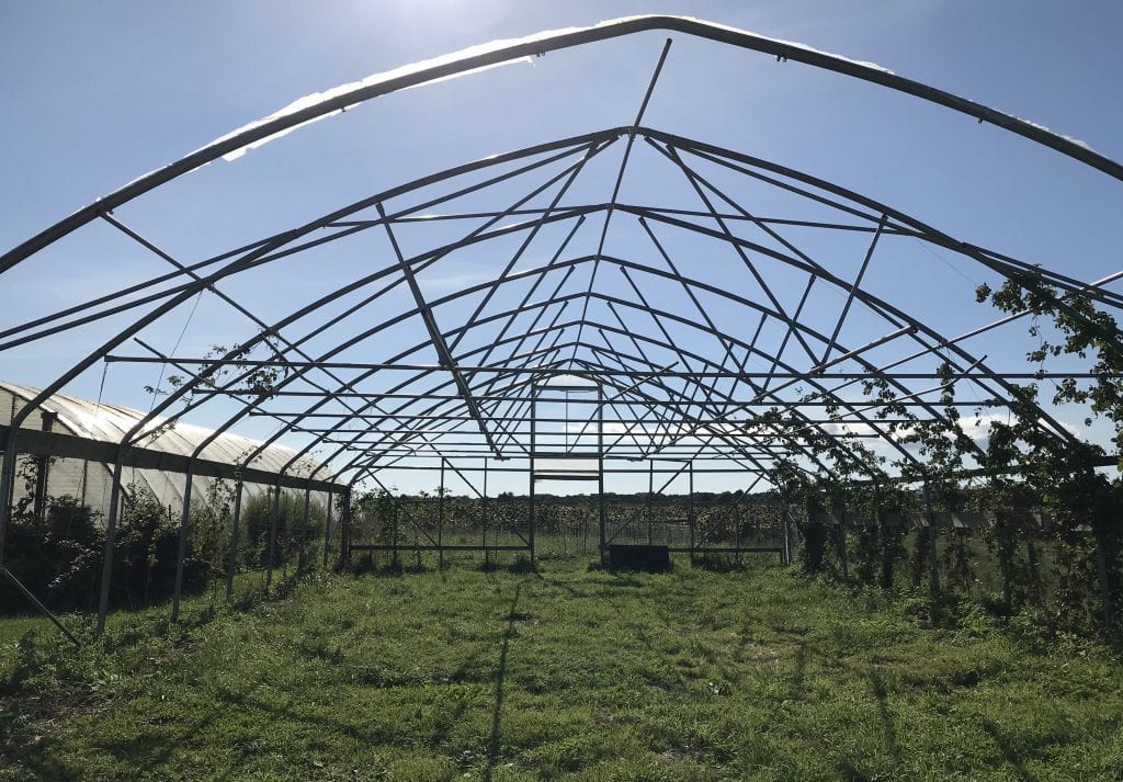 The FARM Institute 
Sunflower Meadow The Trustees
Farm Where You Can Pick Your Own Sunflowers