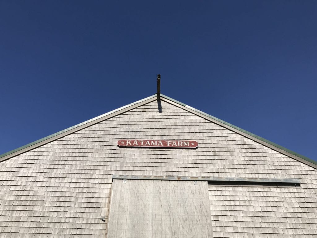 The FARM Institute 
Sunflower Meadow The Trustees
Fall on Martha's Vineyard 