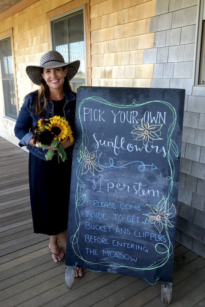 The FARM Institute Sunflower Meadow Summer & Fall Fun on Martha's Vineyard 