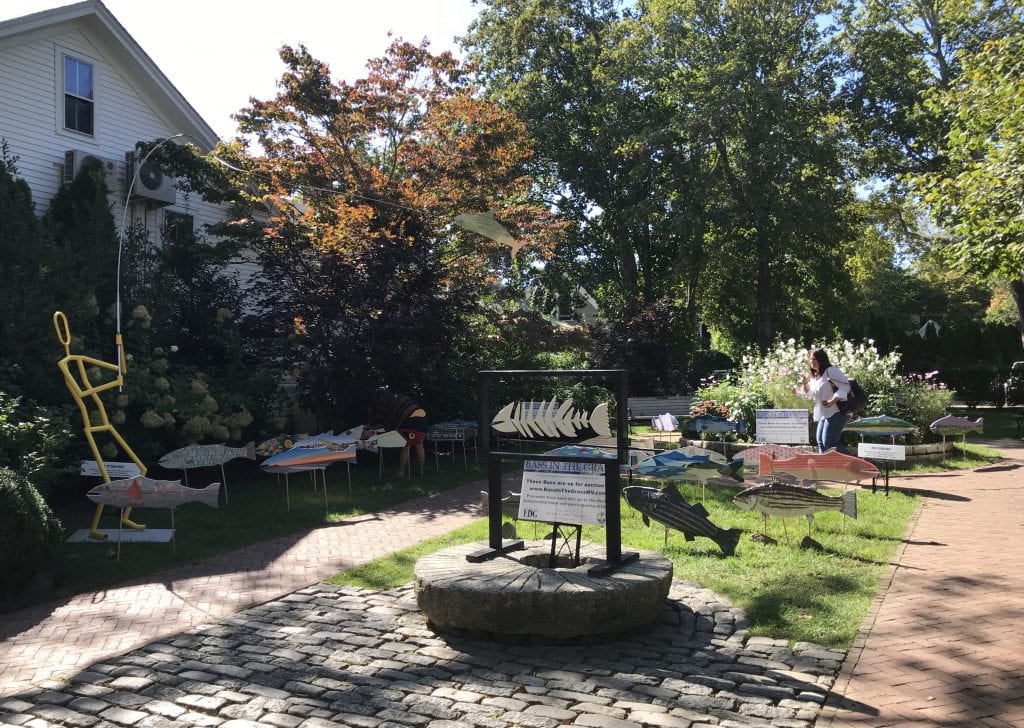 Bass In The Grass Fundraiser Is Back Martha's Vineyard Striped Bass & Bluefish Derby