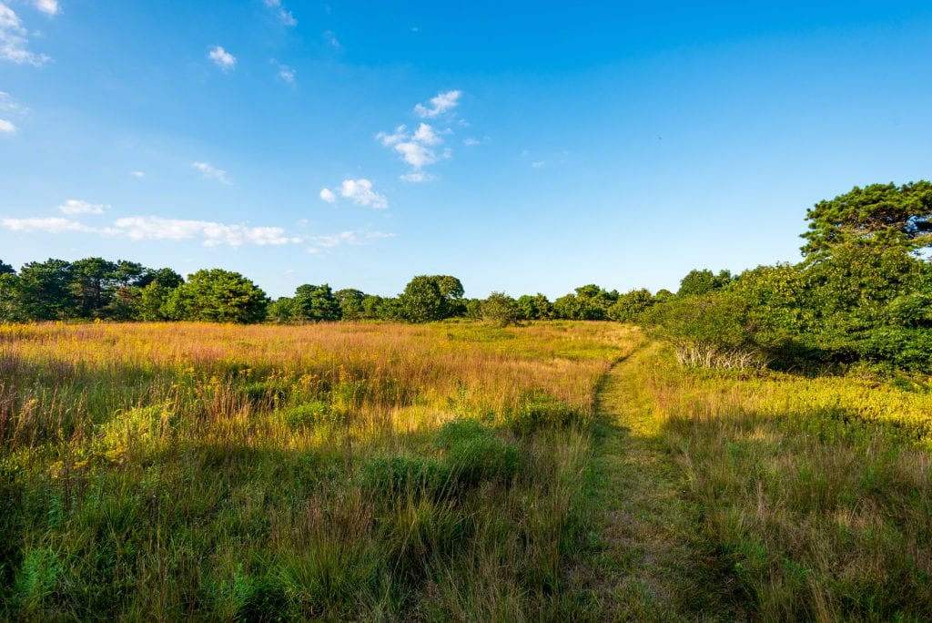 55 Kings Point Way Edgartown MA 02539 Martha's Vineyard Edgartown Sheriff's Meadow Conservation property For Sale Point B Realty