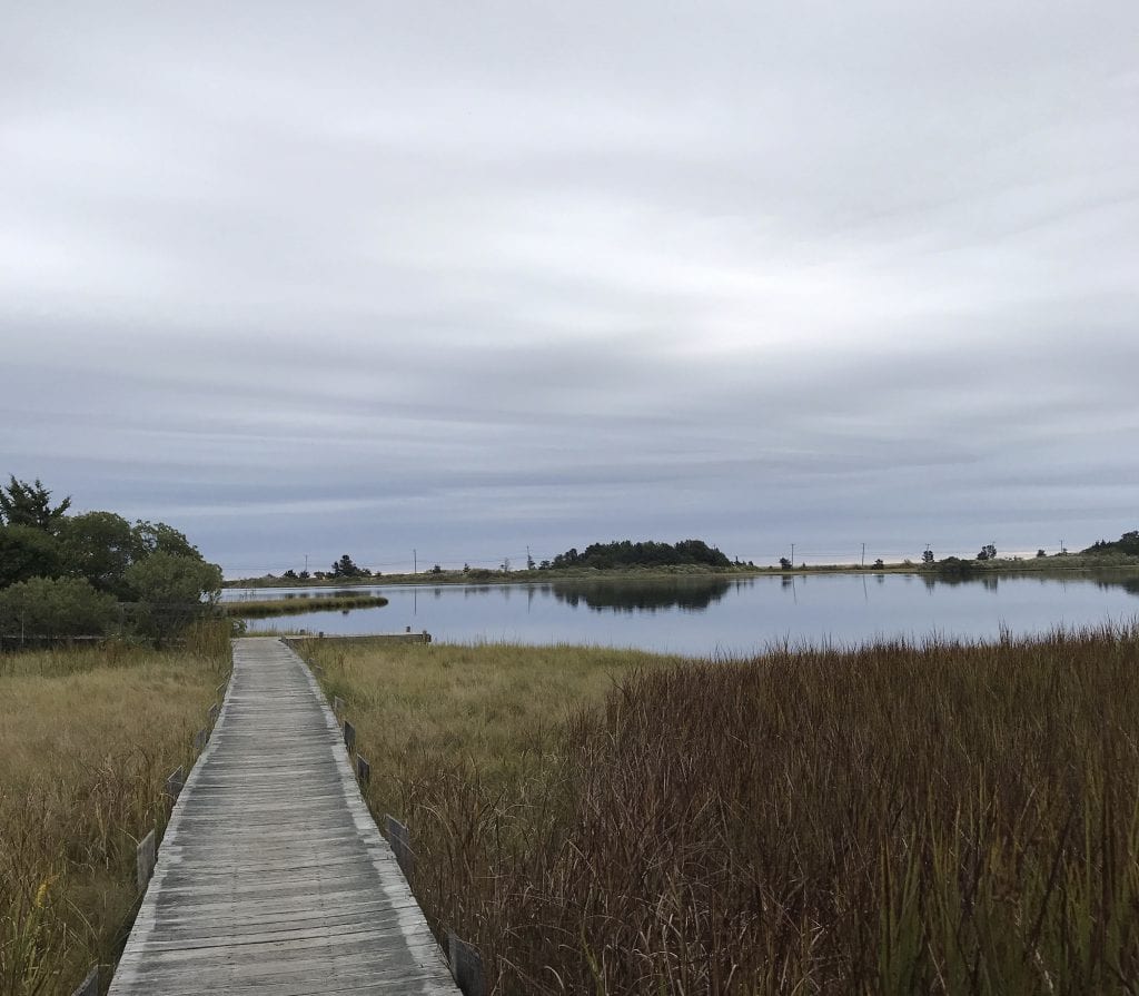 Martha's Vineyard Restaurant Update: Lots Of Fall Closings For The Season Get Ready 