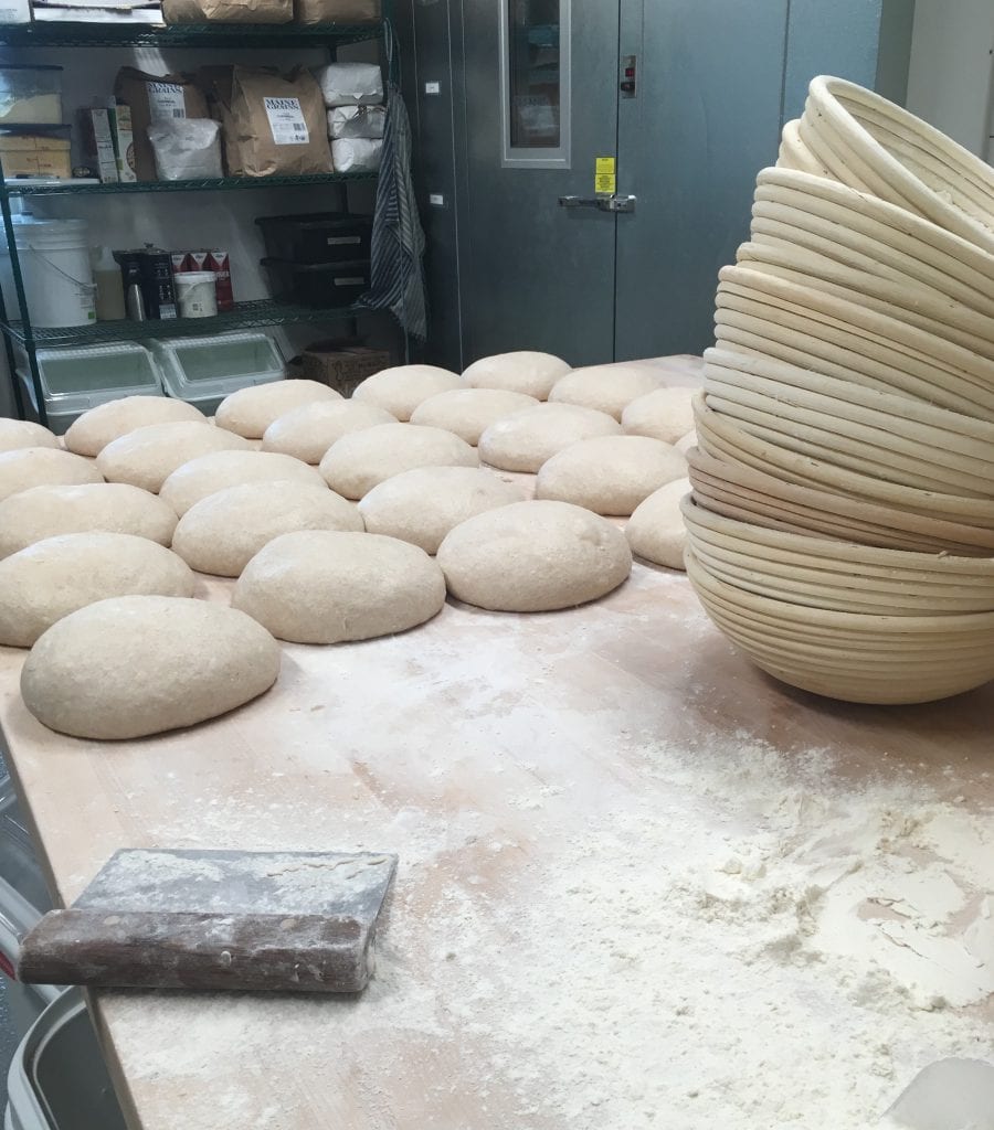 Sour Dough Loathes Being Proofed At the Bakery At Grey Barn And Farm Martha's Vineyard 