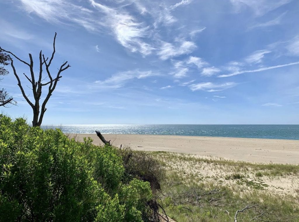 We'd Be Honored If Vote For Point B Realty As The Best Real Estate Firm On Martha's Vineyard in the annual Best Of the Vineyard. Vote here