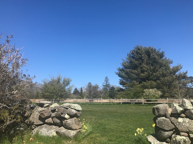 We Love MV
Polly Hill Arboretum 
Martha’s VIneyard 