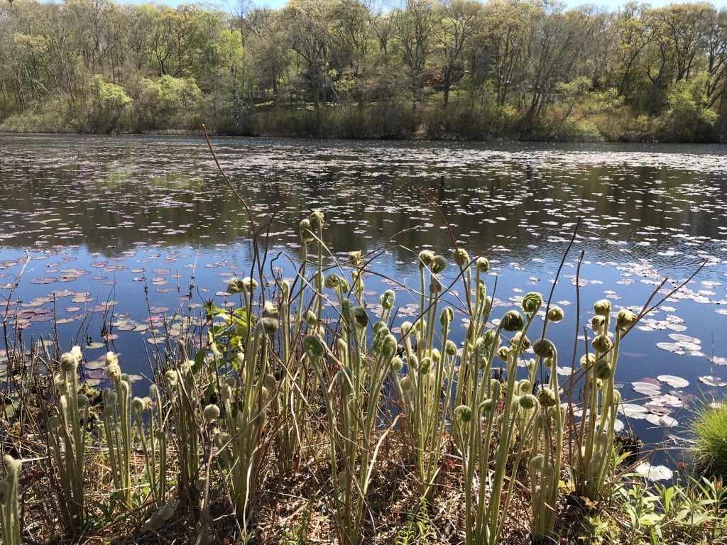 Memorial Day Weekend
Martha’s Vineyard