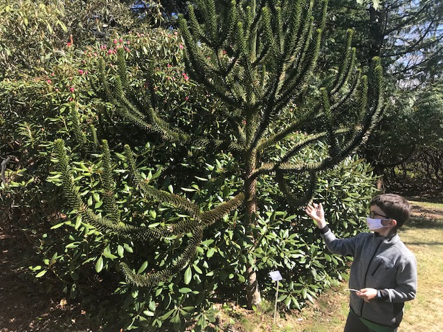 We Love MV
Polly Hill Arboretum 
Martha’s VIneyard 