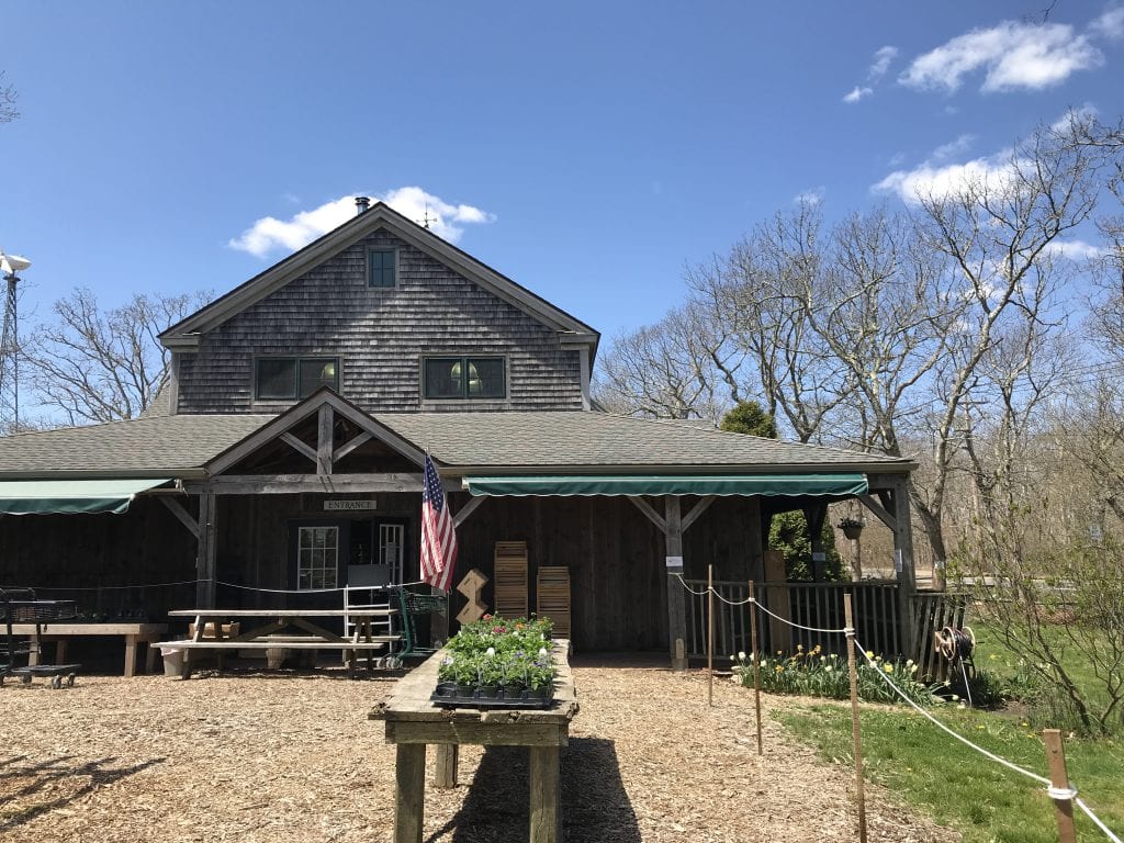 WE LOVE MV - Morning Glory Farm Opens For The Season on Martha's Vineyard