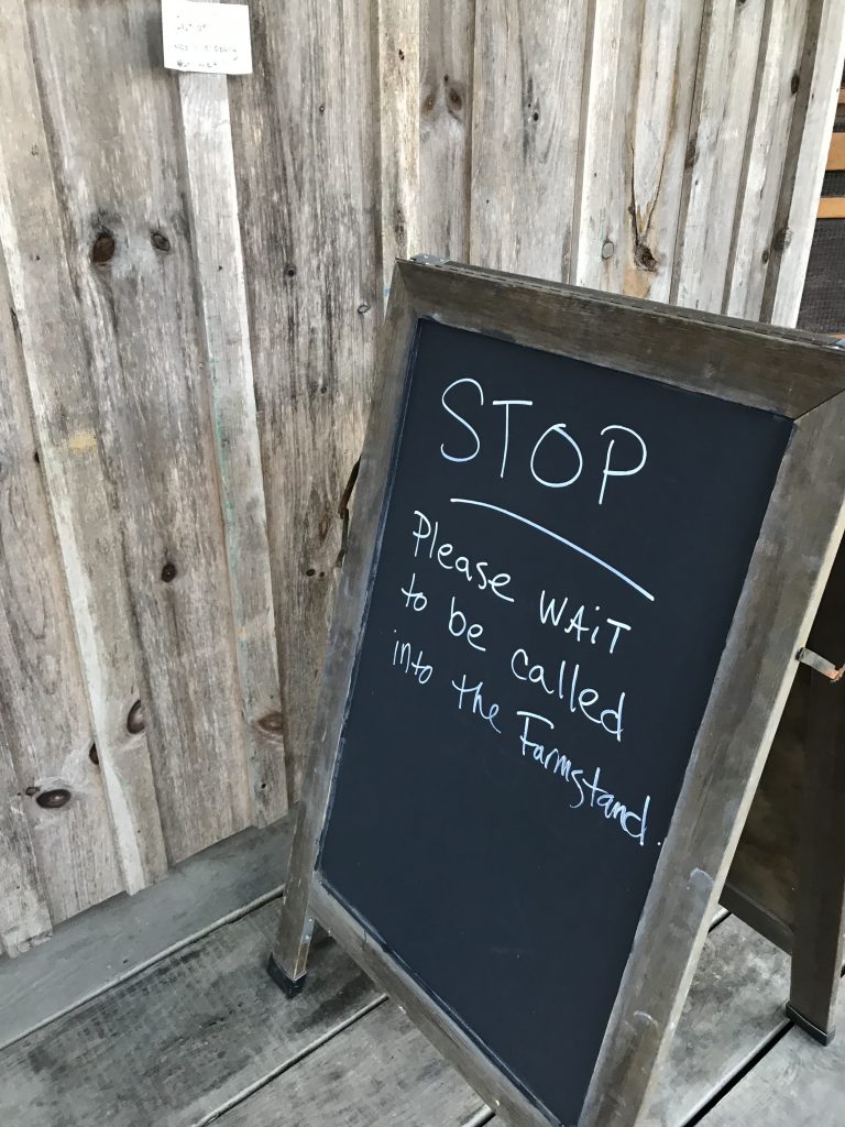 WE LOVE MV - Morning Glory Farm Opens For The Season On Martha's Vineyard