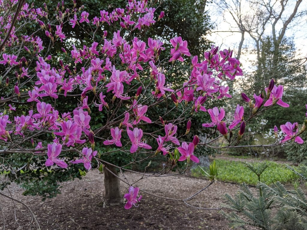 We Love MV - Polly Hill Arboretum 
Experience In West Tisbury Watch The Martha's Vineyard Bucket List Video