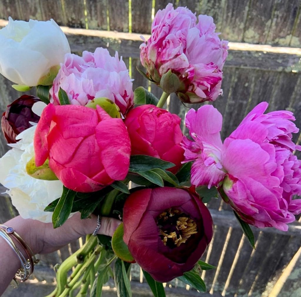 We Love MV Fresh Flowers At Juniper In Edgartown Local Artists & Purveyors On Martha's Vineyard