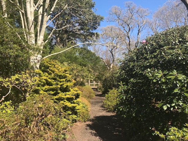 We Love MV
Polly Hill Arboretum 
Martha’s VIneyard 