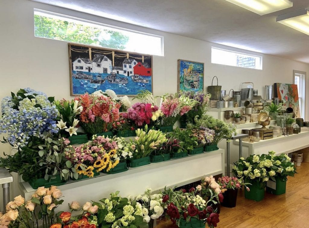 We Love MV: Juniper Opens In Edgartown Featuring Aubrey Maria Designs Local Artwork & Products From Martha's Vineyard