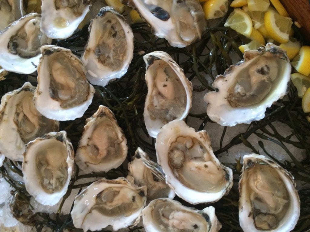 West Tisbury Farmer's Market Moves To Ag Hall - Cottage City Oysters
Will Be Available At The Market