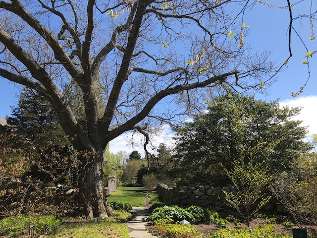 We Love MV - The Polly Hill Arboretum Adventure On Martha’s Vineyard 