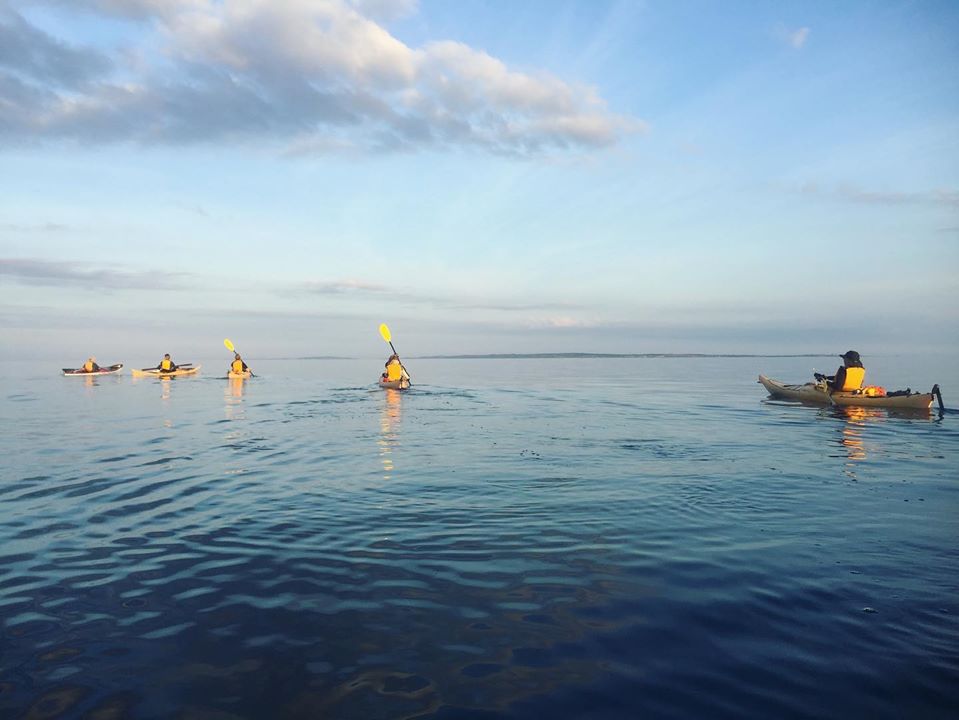 Martha's Vineyard Summer 2020
We Love MV
What to do on Martha's Vineyard 