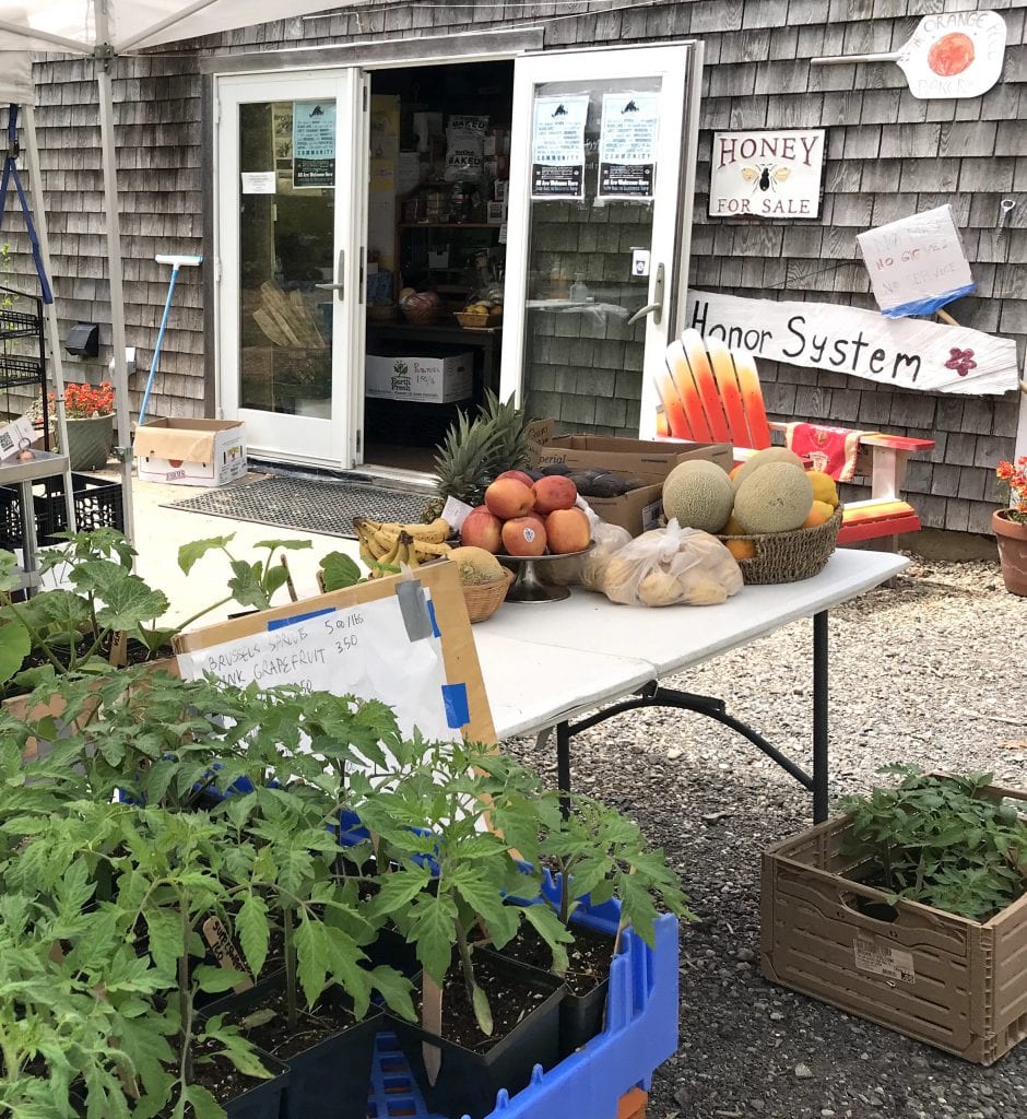 We Love MV Orange Peel Bakery Now Offering Lots of Staples & Provisions On Martha's Vineyard