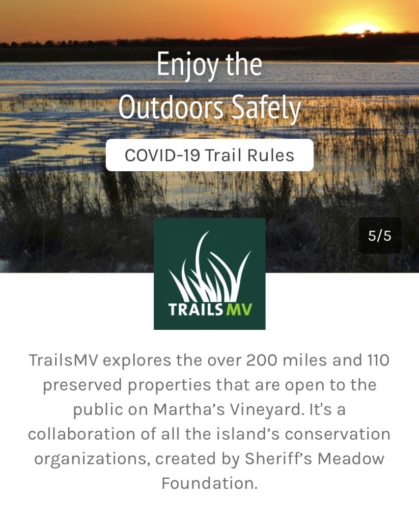 Martha's Vineyard Summer 2020
We Love MV
What to do on Martha's Vineyard 