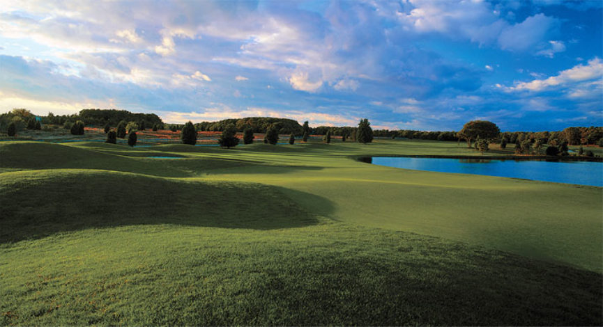 Martha's Vineyard Summer 2020
We Love MV
What to do on Martha's Vineyard 